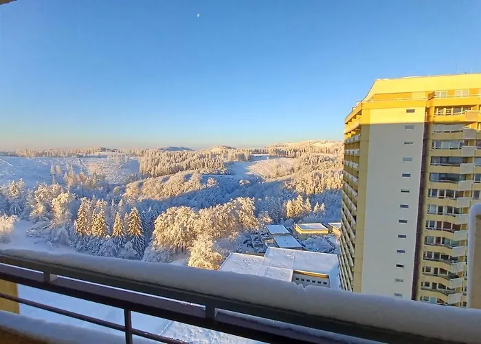 App 342 Gemuetlich Und Mit Weitblick Braunlage