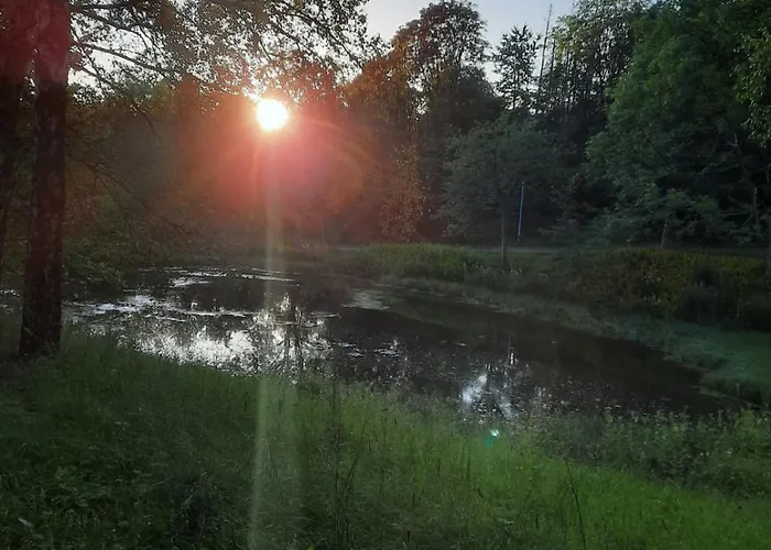 App 342 Gemuetlich Und Mit Weitblick Daire