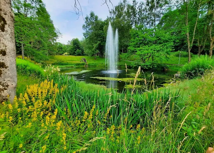 App 342 Gemuetlich Und Mit Weitblick Daire Braunlage